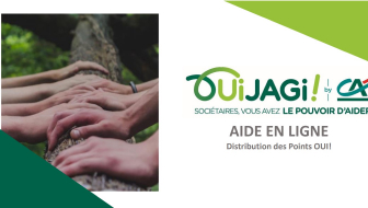 Guide d'utilsation du site